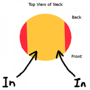 neck